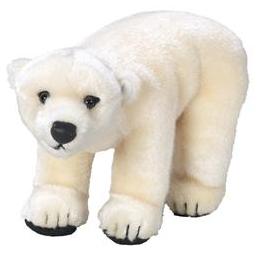 (Polar Bear / Coleção National Geographic Kids)  