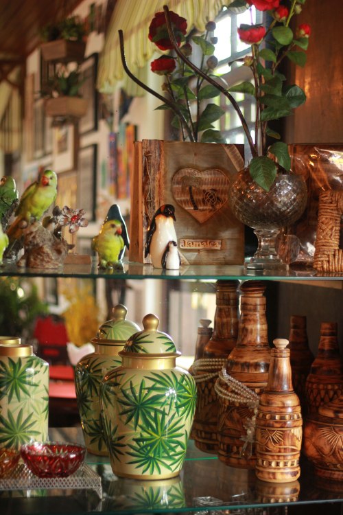 leve_tratadas_IMG_2593